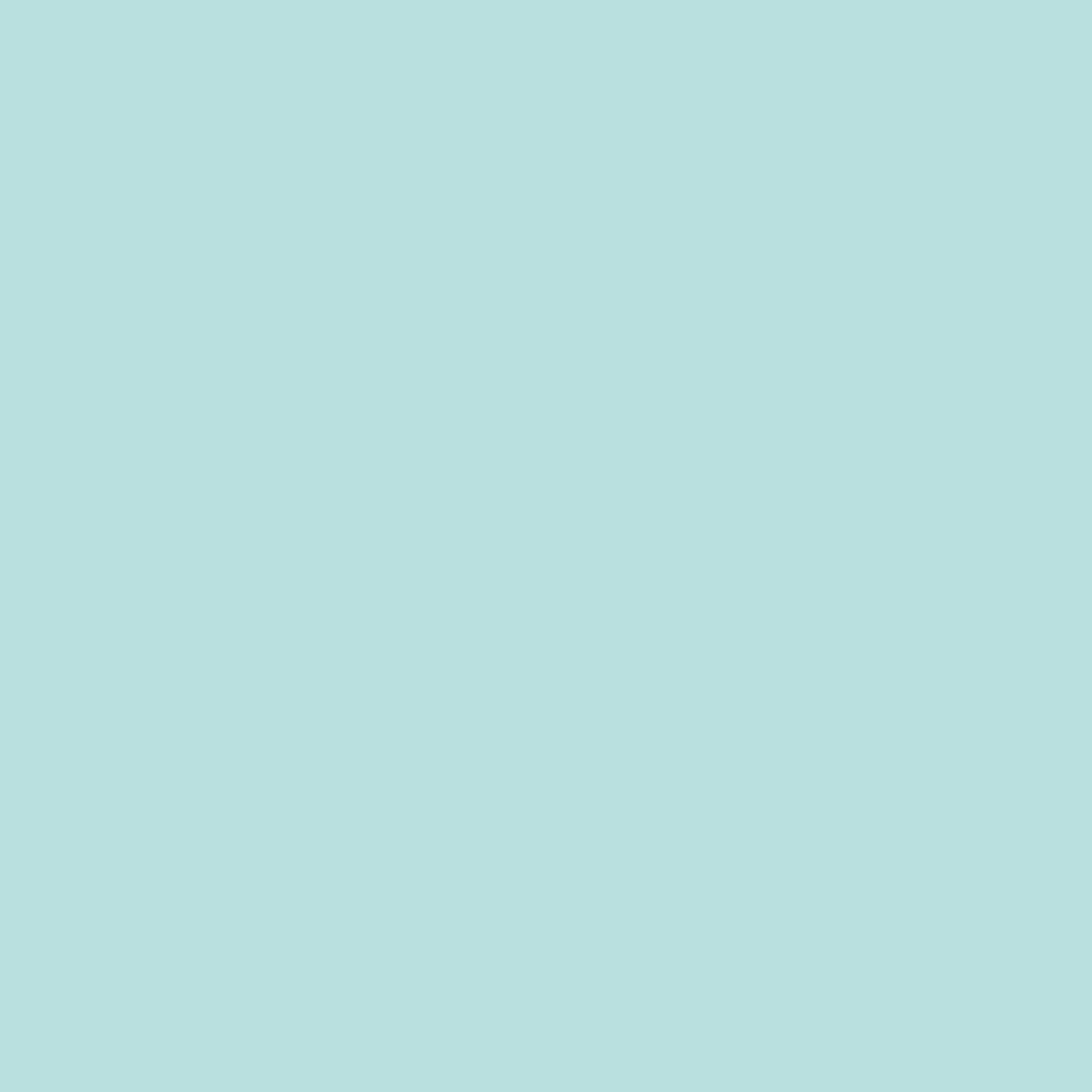 Painter's Palette - Aruba 121-100