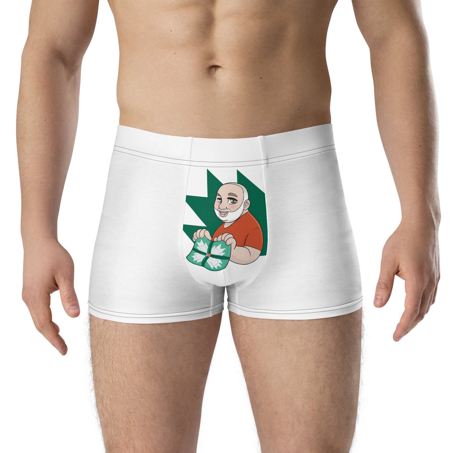 The Bear Quilter Boxer Briefs