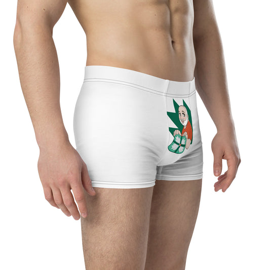 The Bear Quilter Boxer Briefs