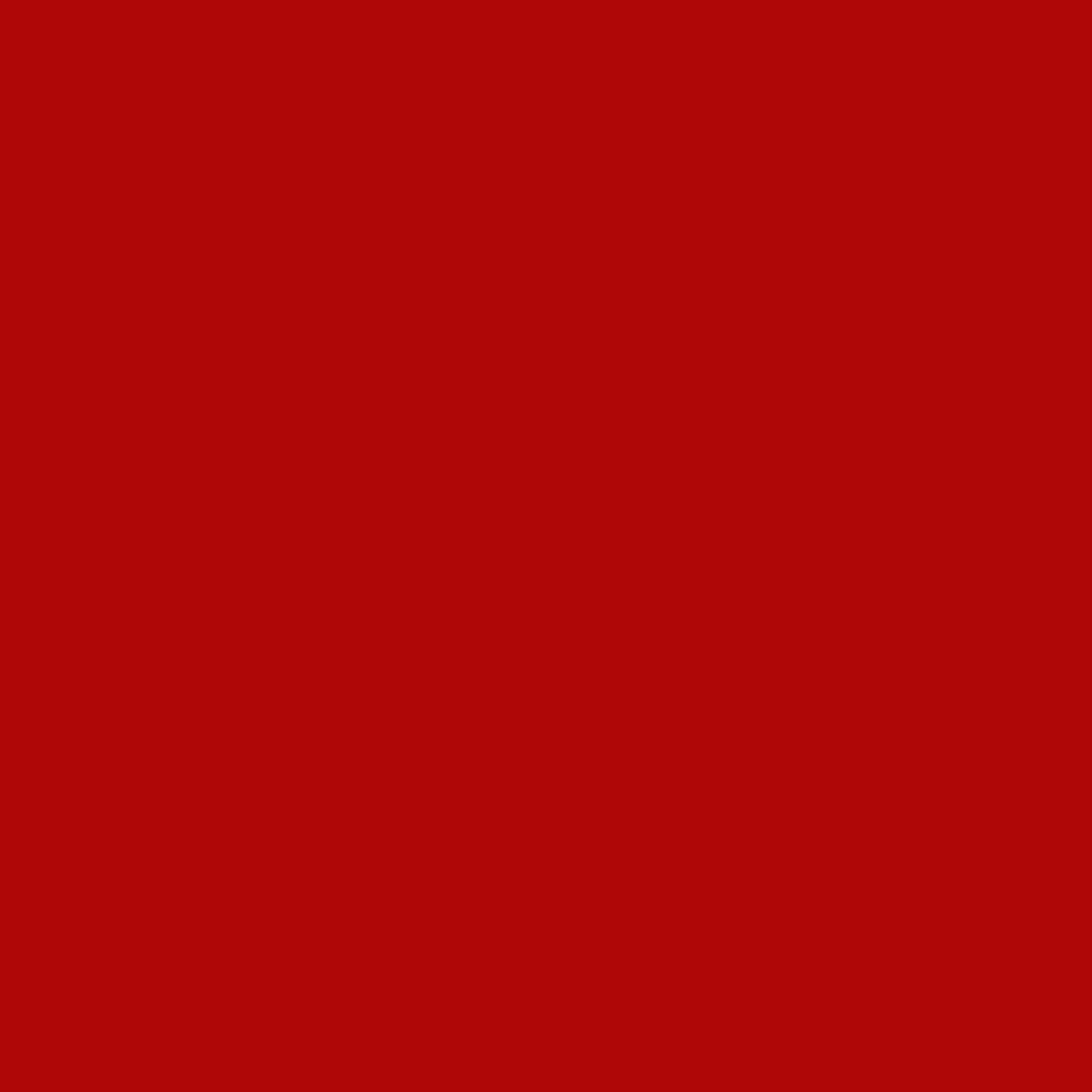 Painter's Palette - Christmas Red 121-067