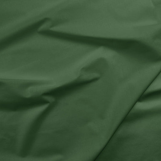 Painter's Palette - Dark Sea Green 121-113